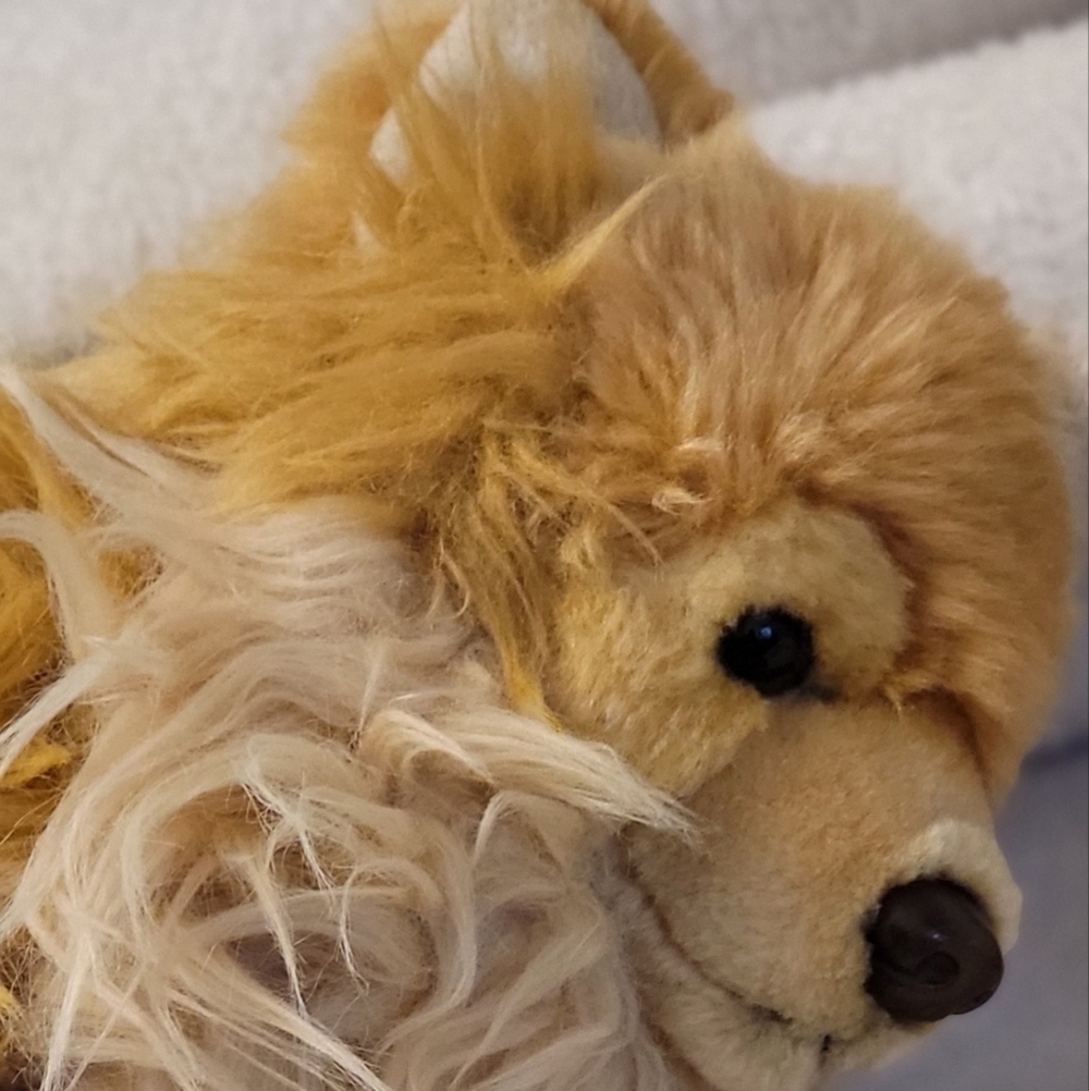 Webkinz Signature Pomeranian Ganz - Picture 5 of 10